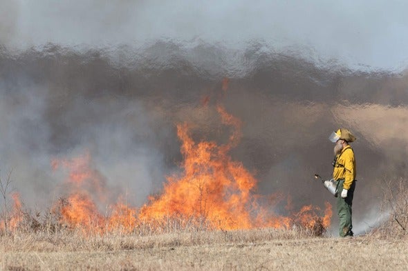 prescribed burning