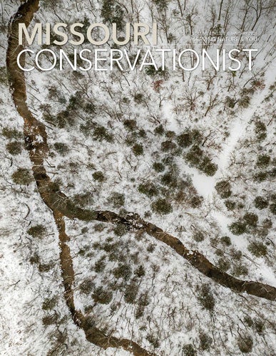 Conservationist front cover for January 