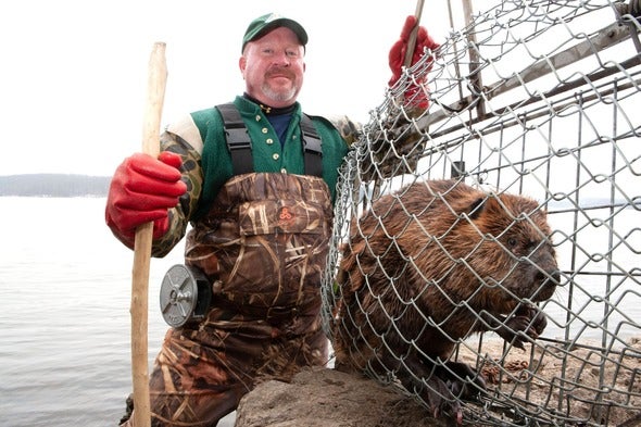  trapping