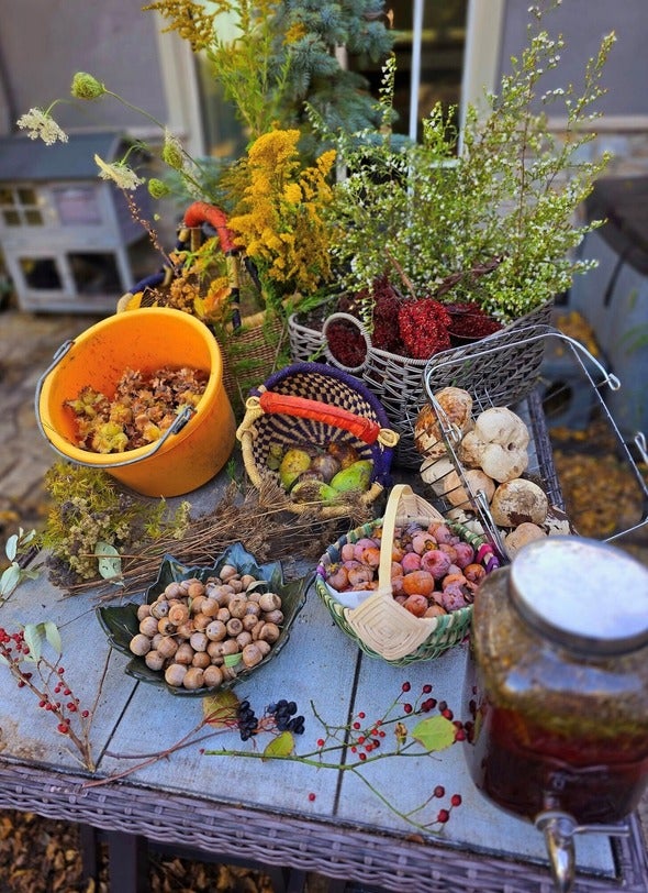 fall bounty