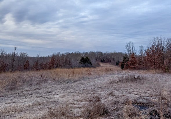 Hutcheson Creek Camp