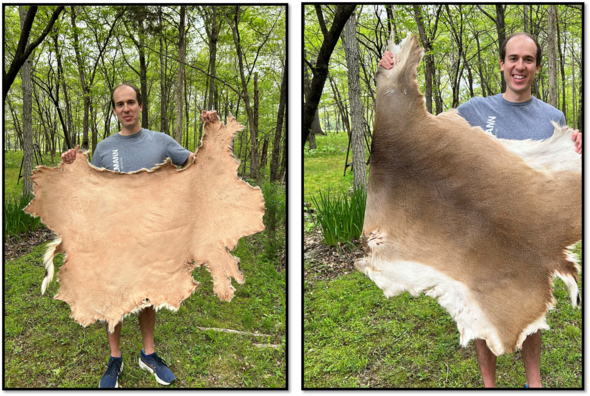 deer hide