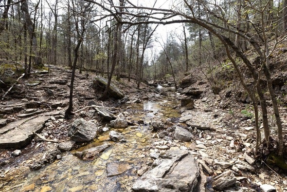 Henning Conservation Area