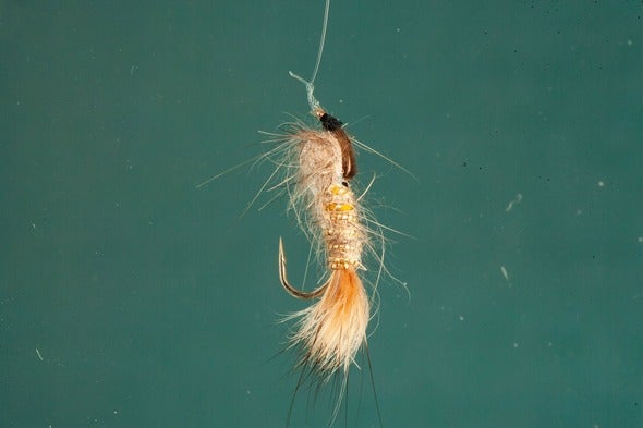 fishing lure