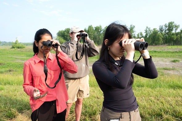birders