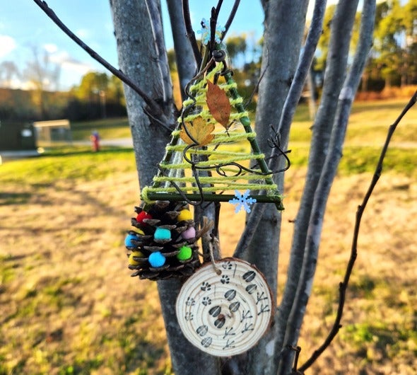 nature ornament