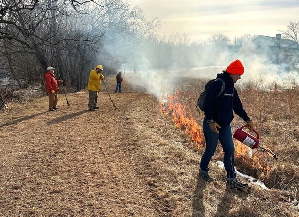 prescribed fire
