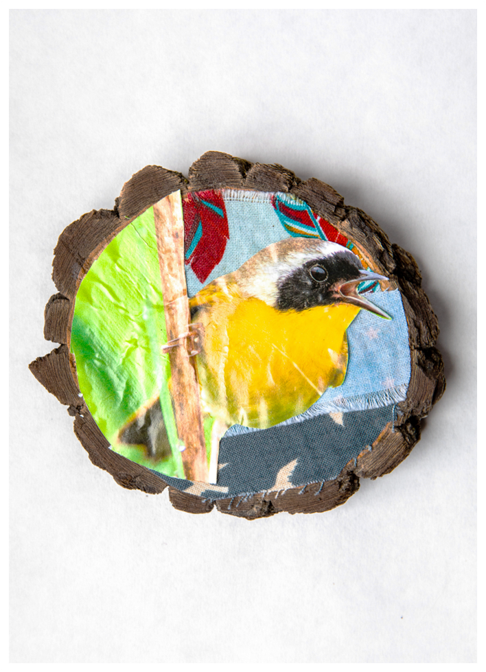tree cookie