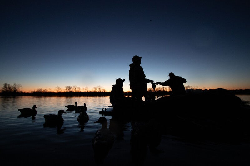 duck hunters