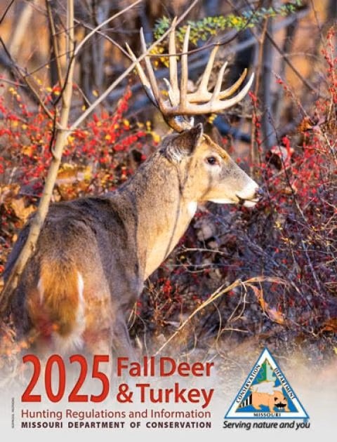 deer booklet cover