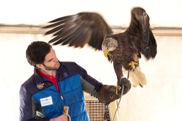 Eagle Days