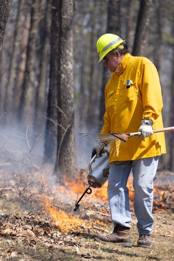 Prescribed Burn