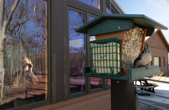  bird watcher