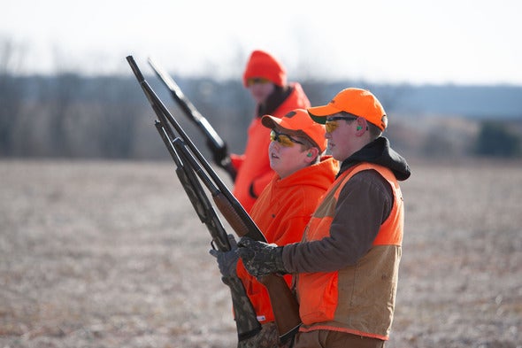 Upland Bird Hunting