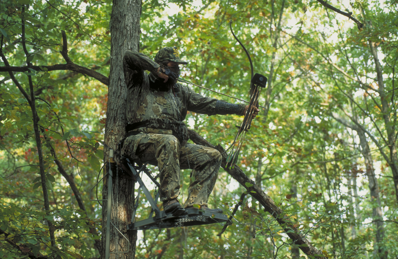 archer in tree stand