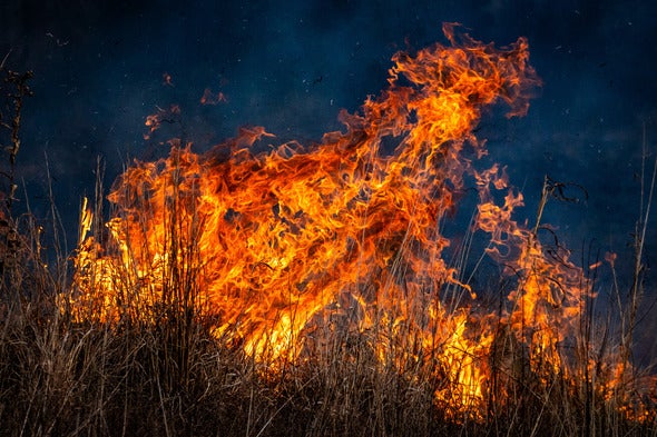 prescribed burn