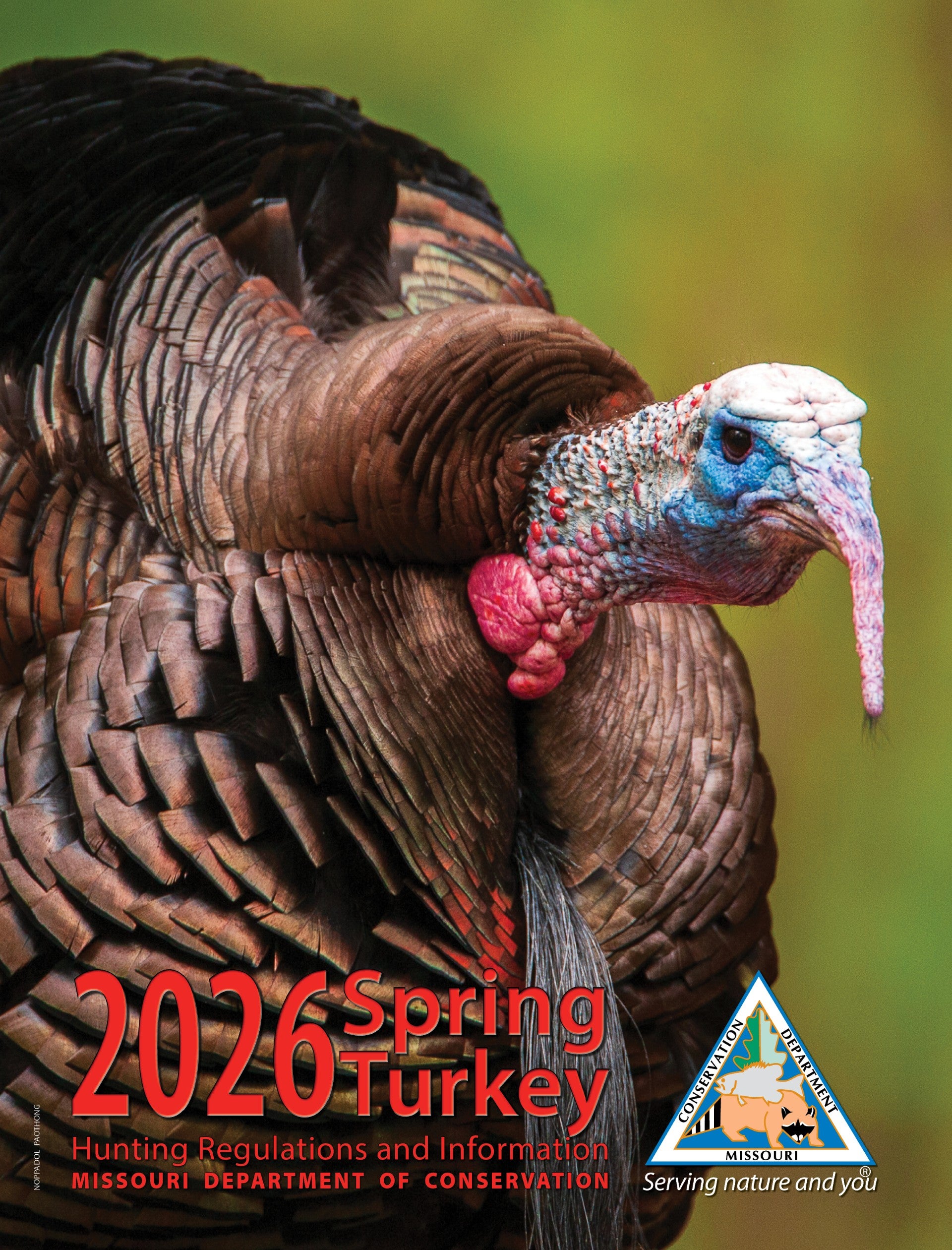 2026 Spring Turkey Hunting Regulations and Information booklet cover