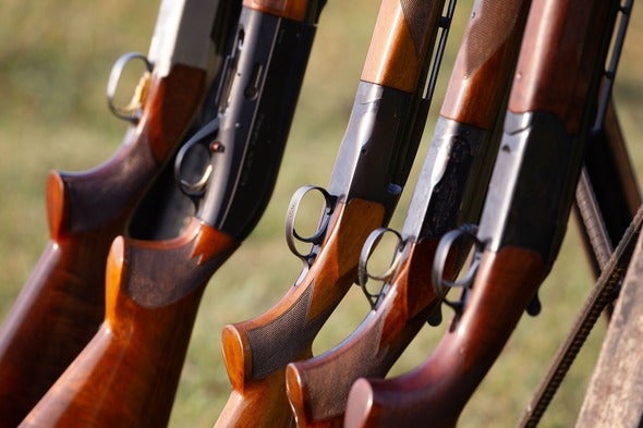 a row of shotguns
