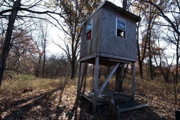 hunting blinds