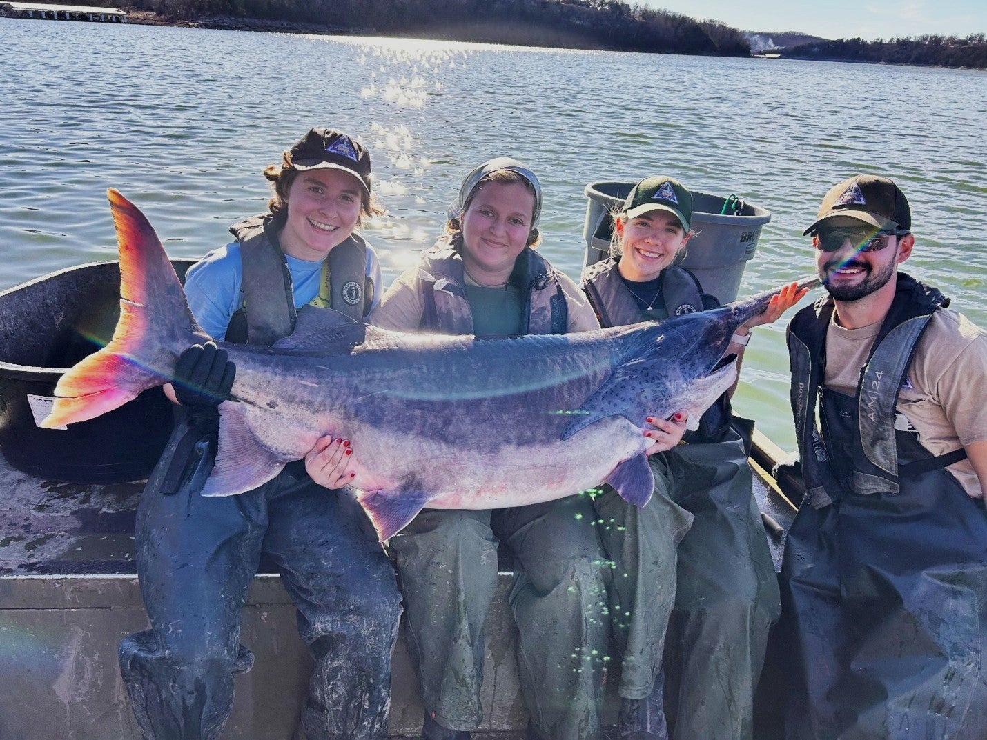 four MDC staff with a paddlefish