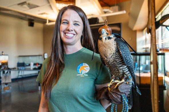 MDC’s Meagan Duffee-Yates with Ryuk, a female peregrine falcon