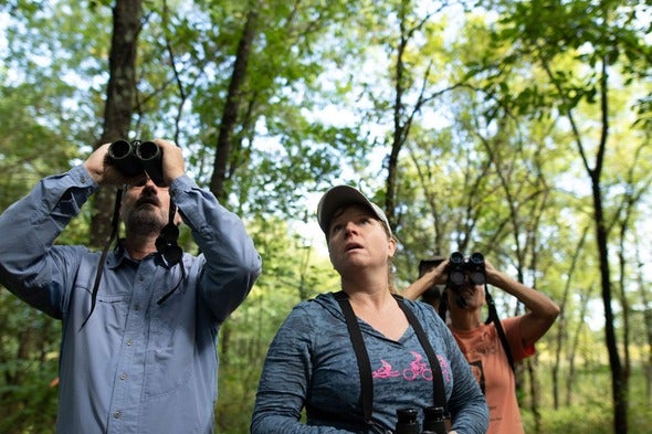 three people birdwatching in the woods