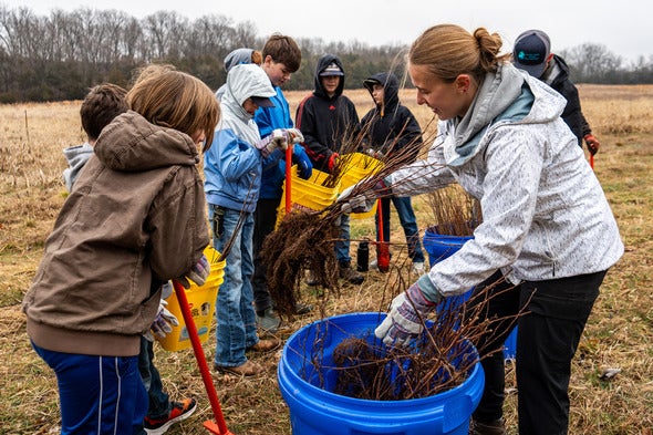 tree planting 1