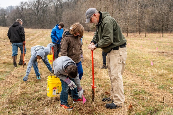 tree planting 3