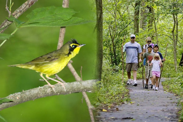 birding and hiking