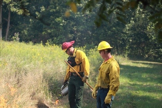 prescribed burning