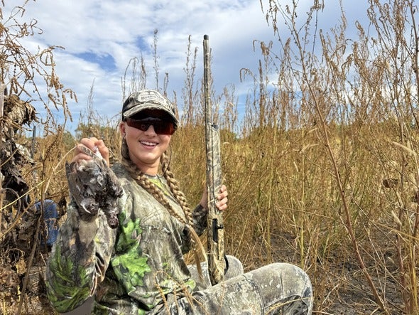 dove hunt