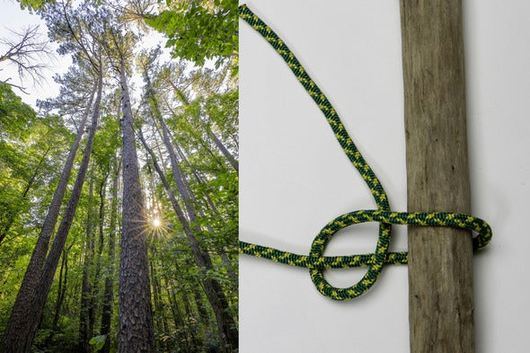 woodland trail and knot tying