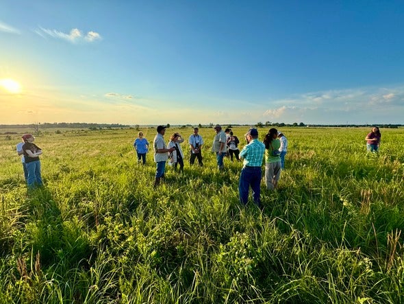 Mount Vernon Prairie