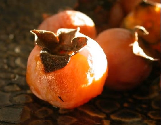 ripe persimmons 