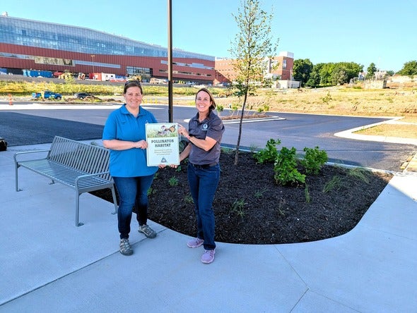 two people in front of planted beds