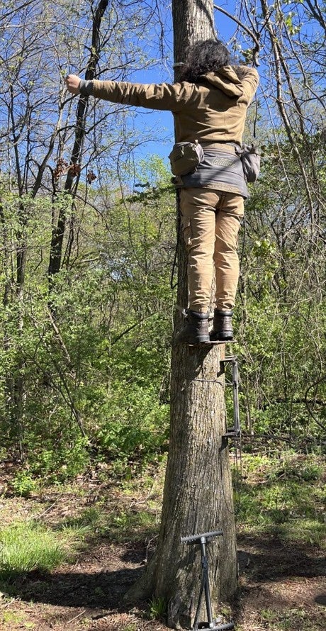 person saddle hunting from tree