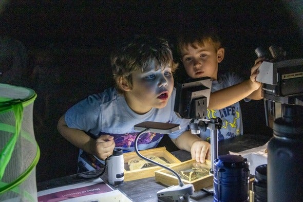 kids looking at bugs at night