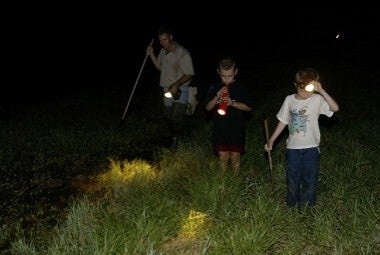 Frog gigging 