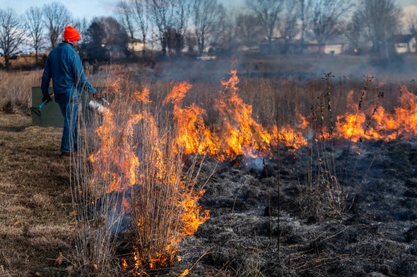 Prescribed Burn