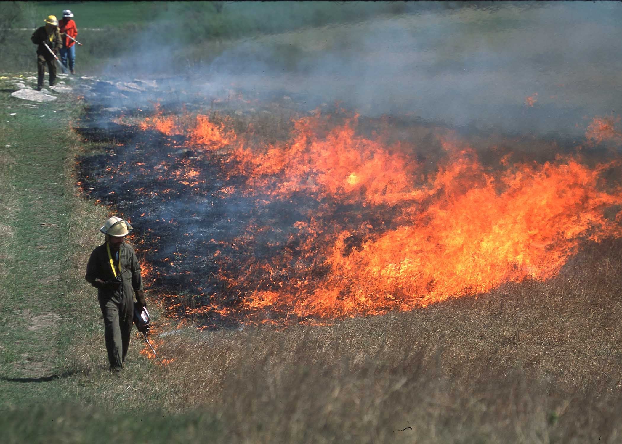 using prescribed fire to manage land