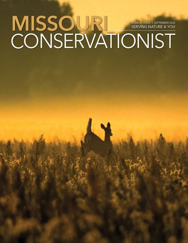 Missouri Conservationist front cover 09-26