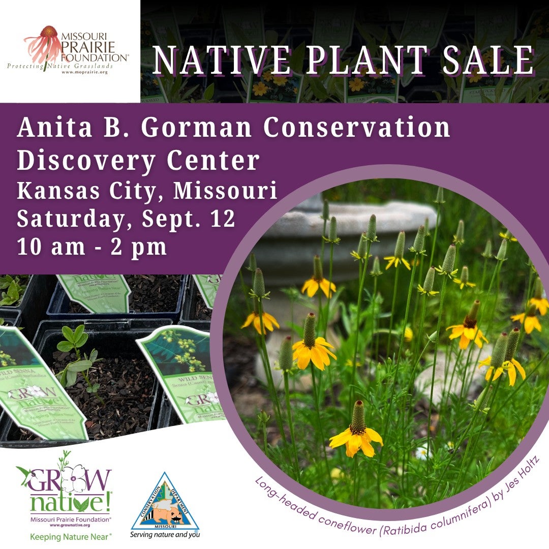 Discovery Center Native Plant Sale Flier