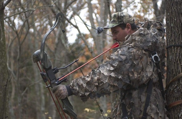 bow hunter in tree