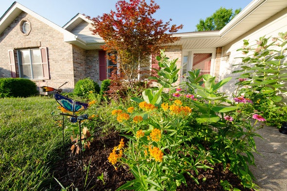 butterfly waystation