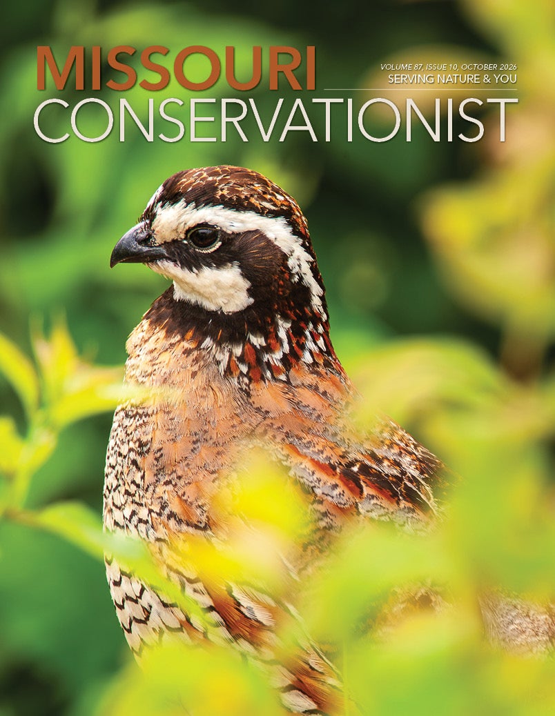 Conservationist front cover 10-26