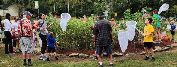 monarch butterfly tagging