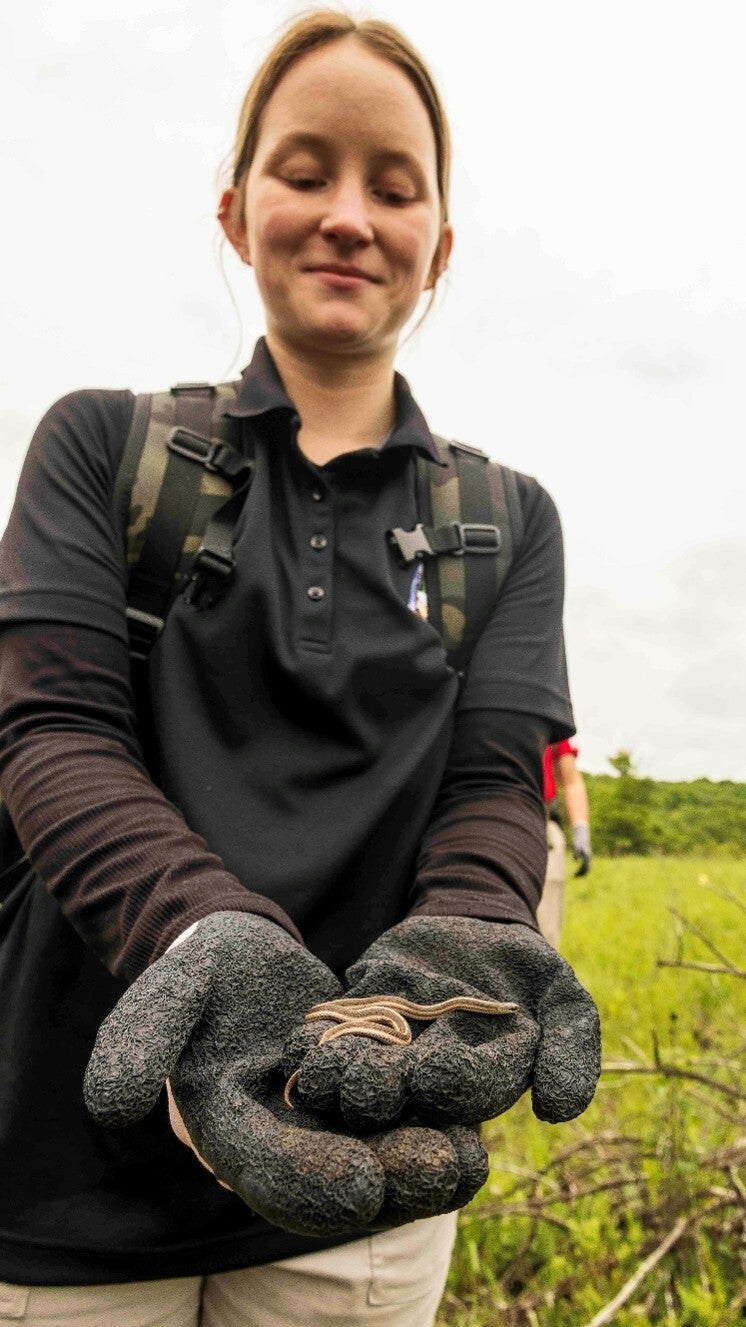 person holding snake