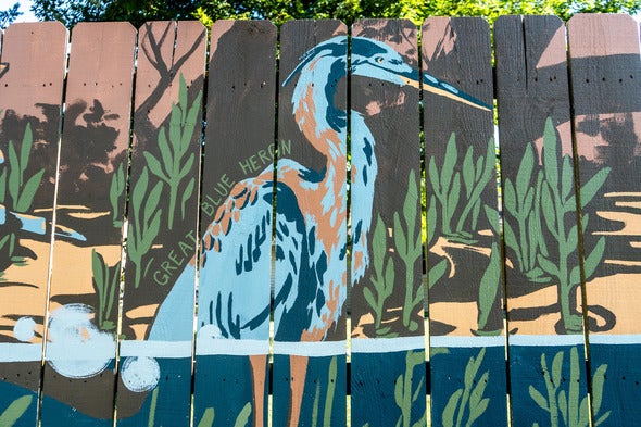 heron