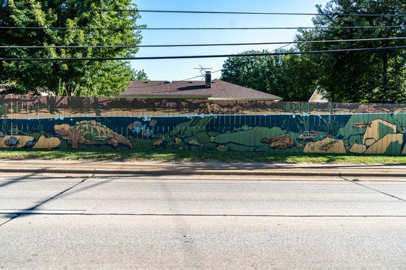nature mural