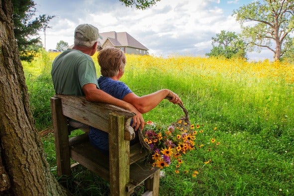 couple looking at field